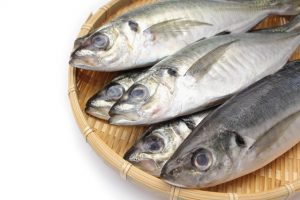 動脈硬化を防ぐ食材は豆腐と青魚、血管老化を防止する栄養素