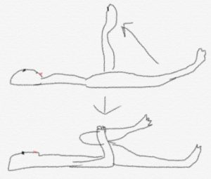 腰痛予防のストレッチ＆体操1